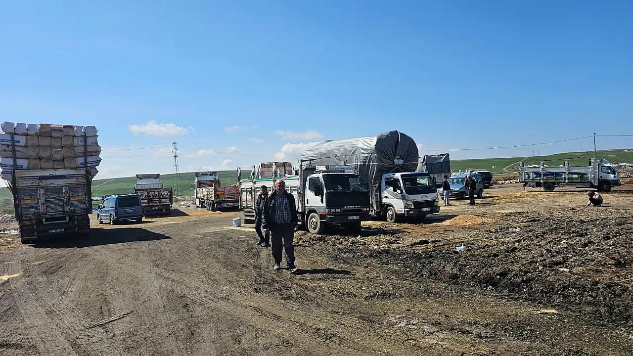 Ağrı’da Saman Fiyatları Ekmekle Yarışıyor