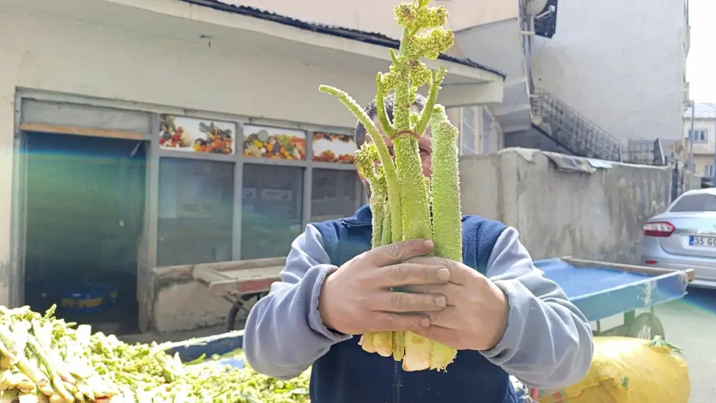 Uçkun Fiyatları Ağrı’da Şaşırtıyor, Neden Bu Kadar Yüksek?