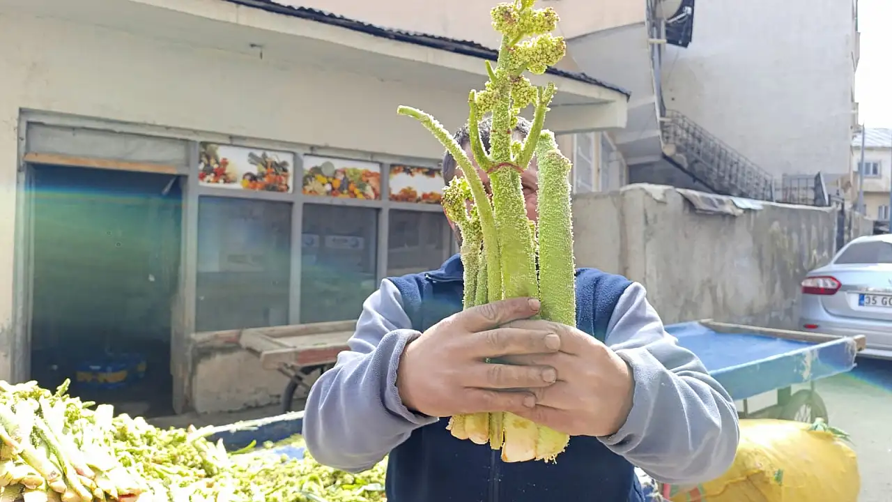Uçkun Fiyatları Ağrı’da Şaşırtıyor, Neden Bu Kadar Yüksek?