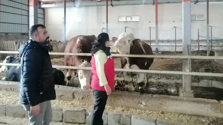 Ağrı’da Hayvancılığa Destek Ziyareti Yapıldı