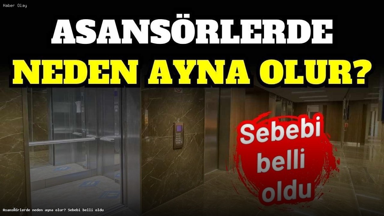Asansörlerde Ayna Kullanımının Önemi Nedir?