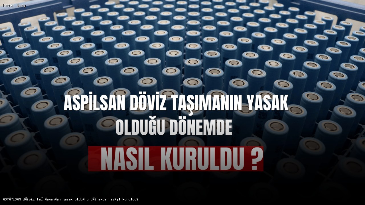 ASPİLSAN’ın Kuruluş Hikayesi ve Önemi