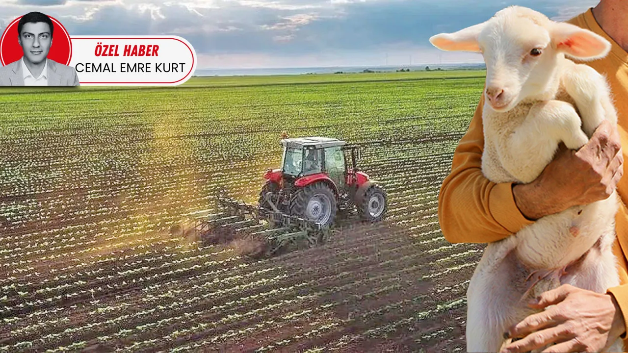 Köye Dönüş Projeleriyle Tarıma Kazandırma Çabaları