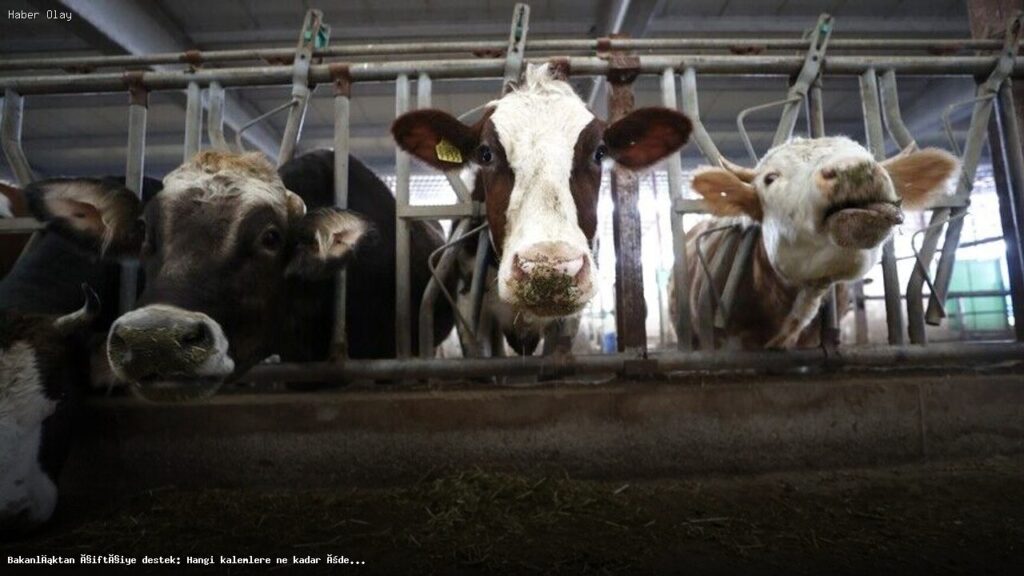 Bakanlıktan Çiftçilere 351 Milyon Liralık Destek Açıklandı