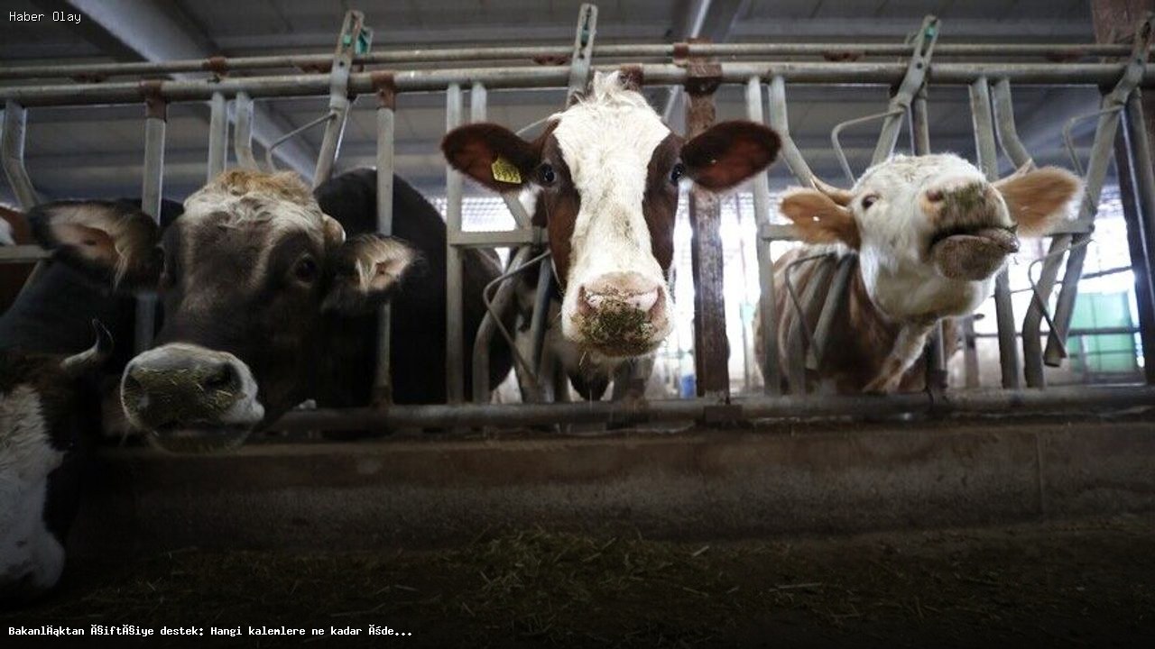 Bakanlıktan Çiftçilere 351 Milyon Liralık Destek Açıklandı