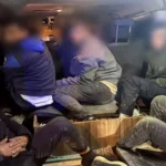 Balık İstifi Göçmen Taşıyan Minibüsün Şoförüne Rekor Ceza