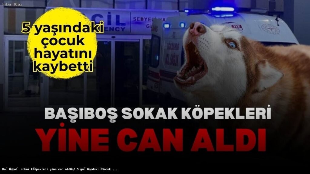Sokak Köpekleriyle İlgili Endişeler Artıyor: 5 Yaşındaki Çocuk Hayatını Kaybetti