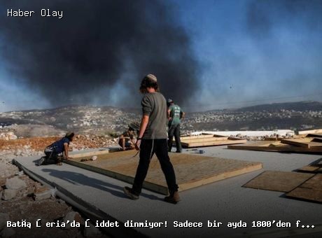 Batı Şeria’da artan saldırılar: 1800’den fazla olay kaydedildi