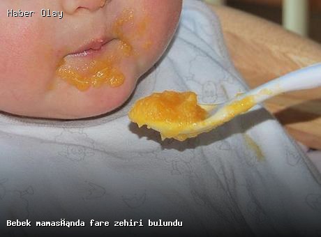 Hipp Bebek Mamasında Zehirli Madde Tespit Edildi