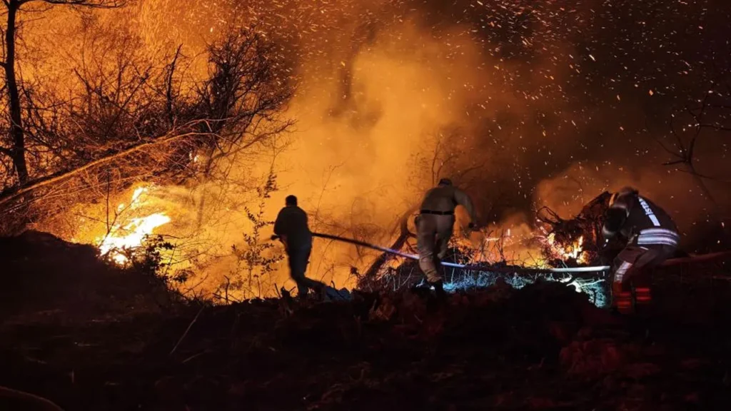 Beykoz Orman Yangını: 9 Saatlik Mücadelenin Ardından Kontrol Altına Alındı