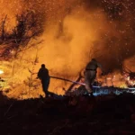 Beykoz Orman Yangını: 9 Saatlik Mücadelenin Ardından Kontrol Altına Alındı