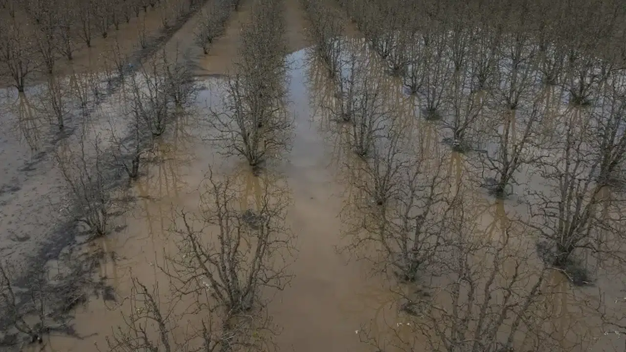 Bursa’da Yağışlar Tarım Arazilerini Vurdu: 2 Bin Dönüm Su Altında