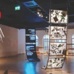 Coğrafya ve Bellek İlişkisi: Barajdan Sızanlar Sergisi