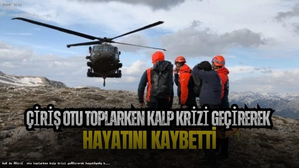 Çiriş Otu Toplarken Kalp Krizi Geçiren Adamın Trajik Ölümü