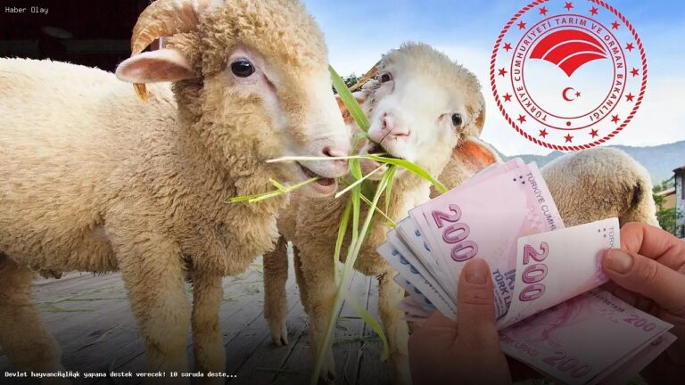 Küçükbaş Hayvancılığa Destek: Başvuru Detayları Neler?