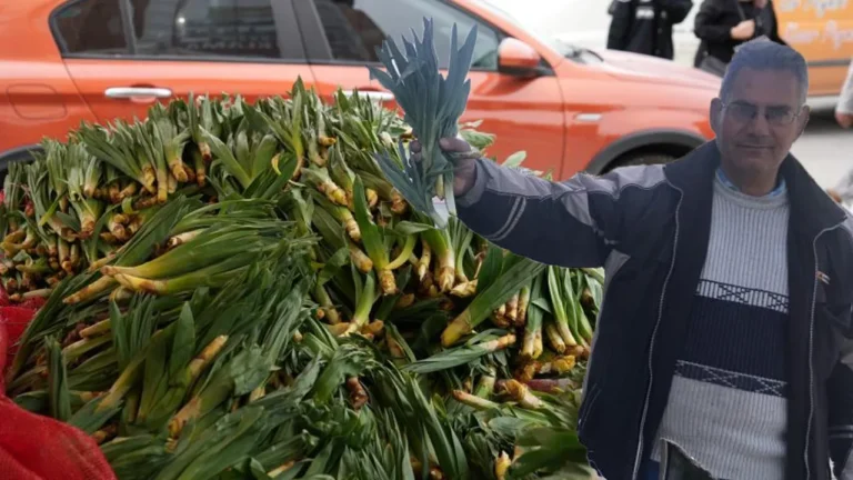 Çiriş Otu: Doğanın Şifa Kaynağı ve Ekonomik Değeri