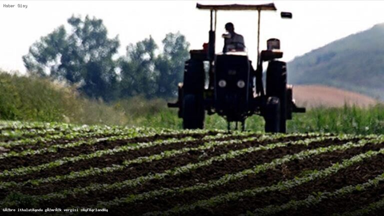 Gübre İthalatında Gümrük Vergisi İndirimi Ne Anlama Geliyor?