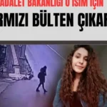 Gülistan Doku Davasında Umut Altaş İçin Kırmızı Bülten Süreci