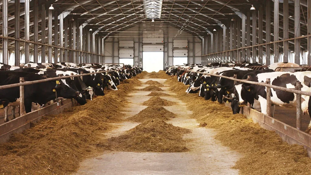 Güneydoğu’ya Süper Teşvik Programı ile Yatırımlar Artıyor