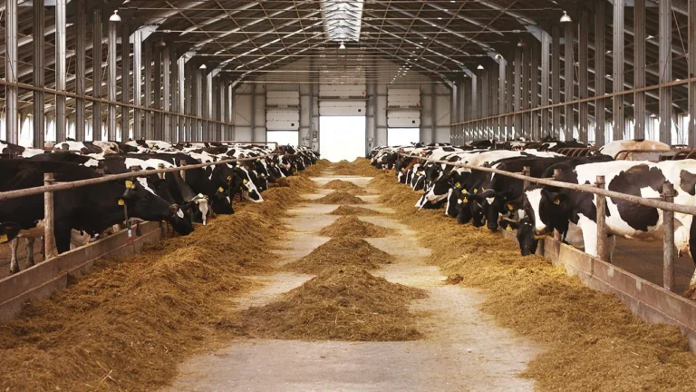 Güneydoğu’ya Süper Teşvik Programı ile Yatırımlar Artıyor