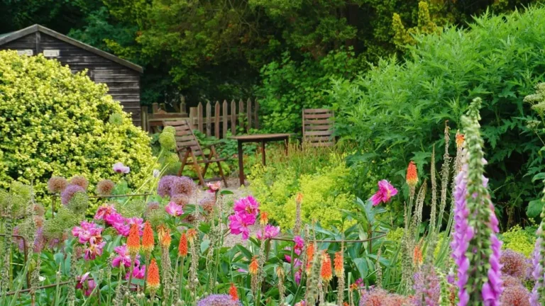 Hobi Bahçeleri İçin Yeni Düzenleme: Ne Değişti?