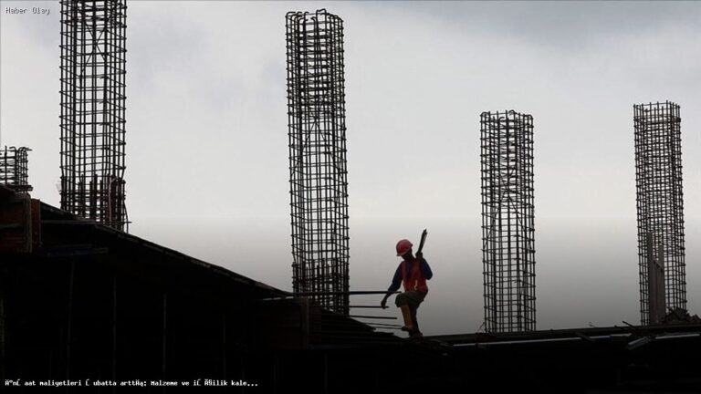 İnşaat Maliyetleri Neden Artıyor? Şubat Verileri Ortaya Koydu