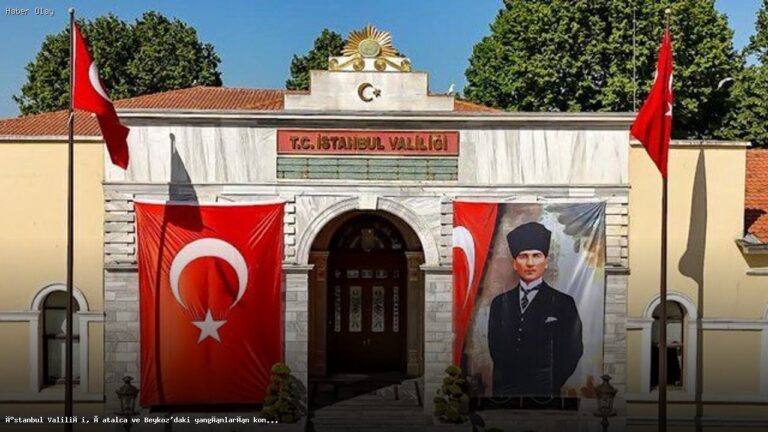 İstanbul’daki Orman Yangınları Kontrol Altına Alındı