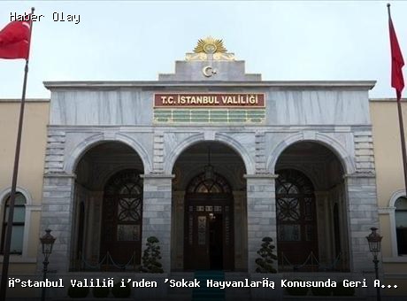 İstanbul Valiliği’nden Sokak Hayvanlarıyla İlgili Açıklama