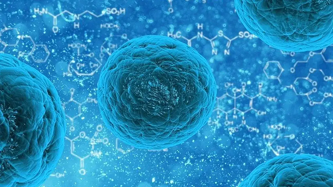 Kanser Hücrelerinin Kontrolsüz Çoğalması ve Tedavi Yöntemleri