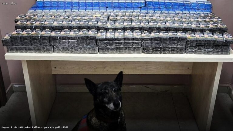 Kayseri’de 1008 Paket Kaçak Sigara Ele Geçirildi