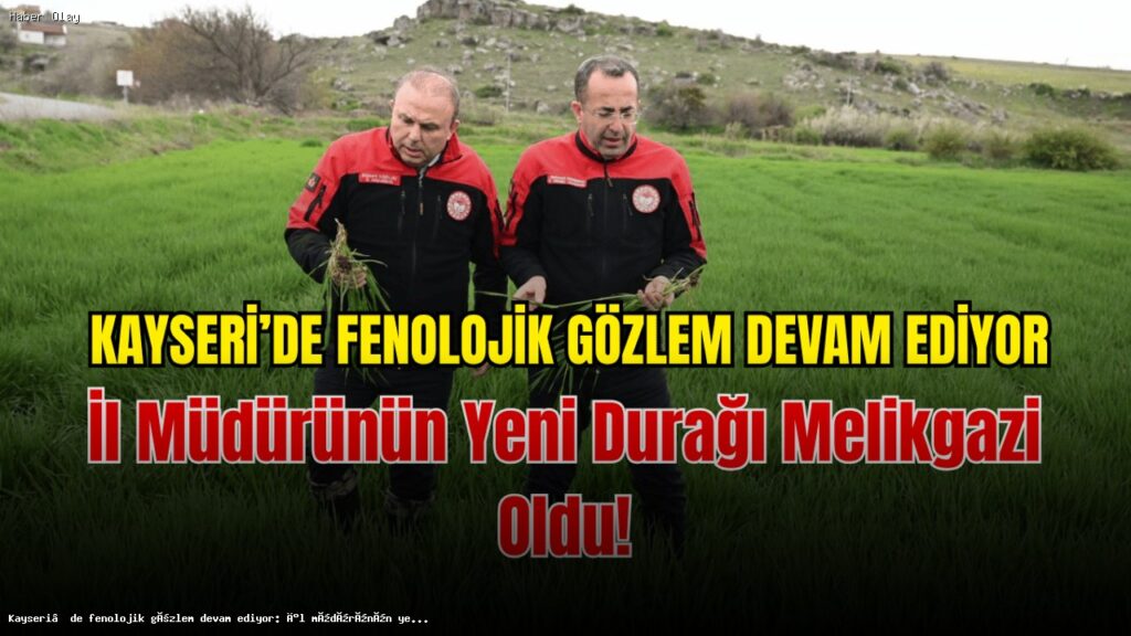 Melikgazi’deki Hububat Alanları İçin Fenolojik Gözlem Başladı