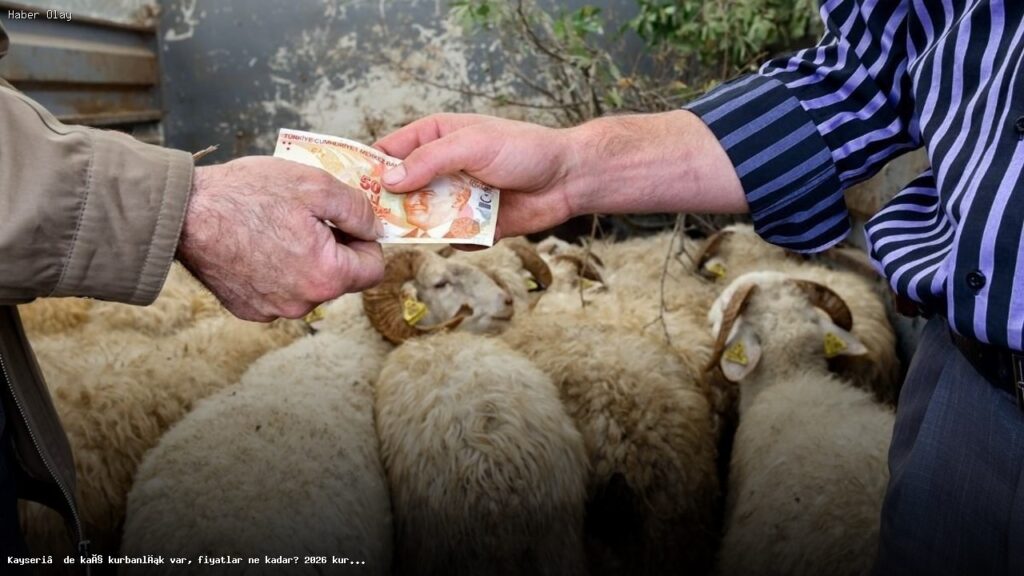 Kayseri’de Kurbanlık Durumu ve Fiyatlar 2026 Öncesi