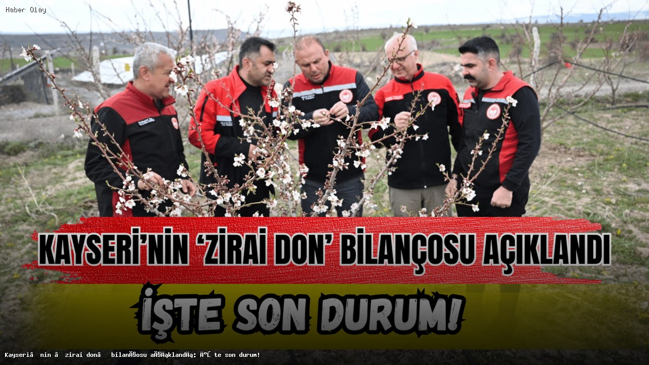 Kayseri’de Zirai Don Bilançosu: Üreticileri Rahatlatan Sonuçlar