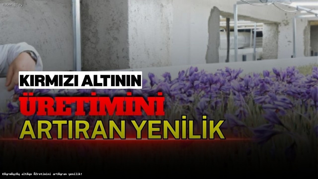 Kırmızı Altın Safranın Dikey Tarım ile Üretimi Nasıl Artırılıyor?