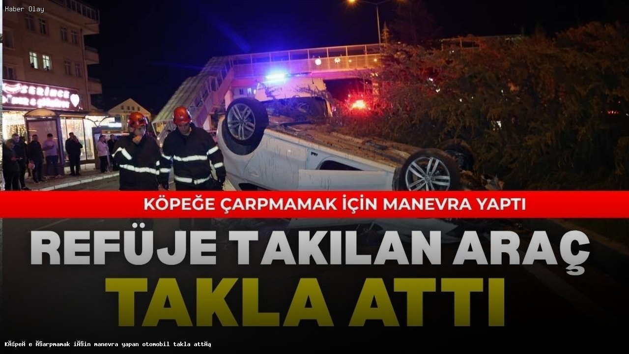 Köpeğe Çarpmamak İçin Manevra Yapan Araç Takla Attı