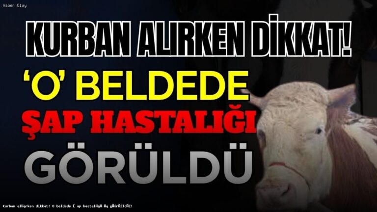 Kurbanlık Alırken Dikkat! Niğde’de Şap Hastalığı Tespit Edildi