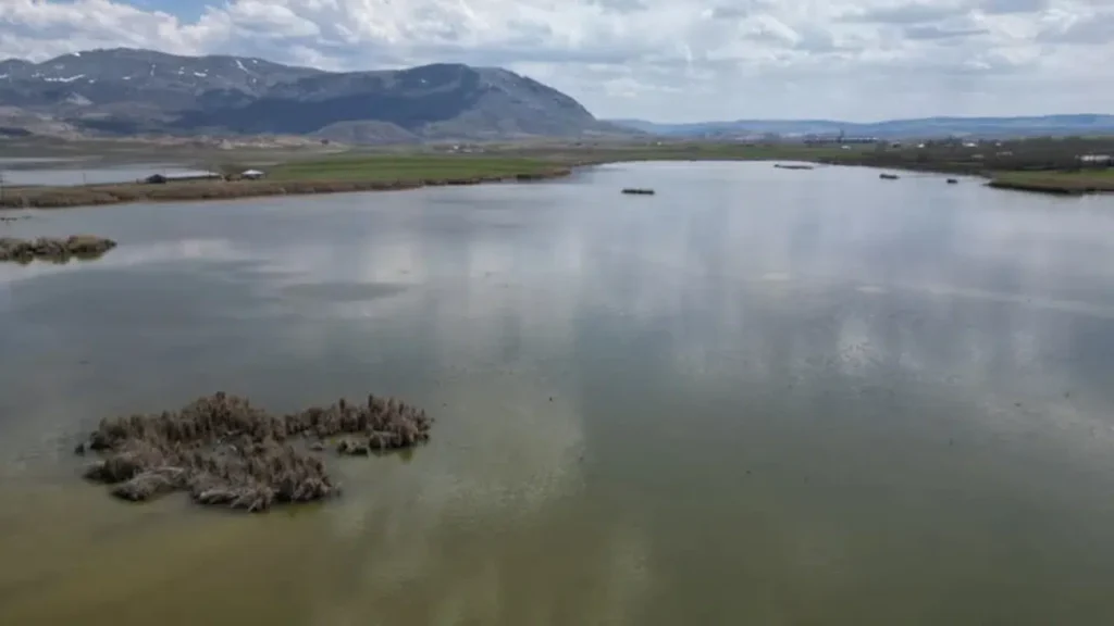 Ulaş Gölü’nde Hayat Yeniden Başladı: Neden Önemli?