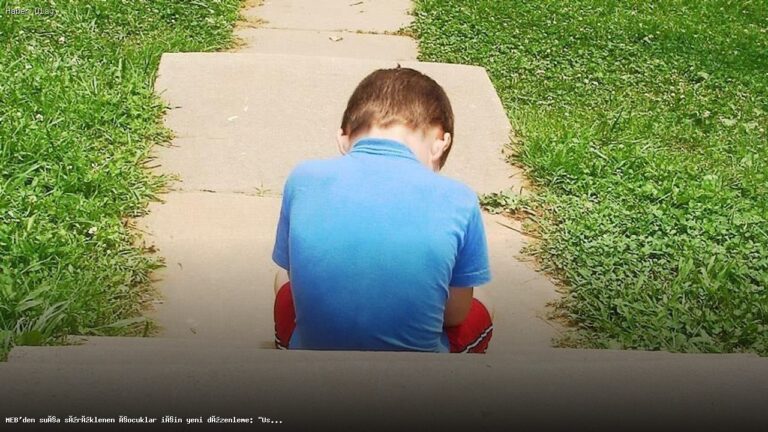 Suça Sürüklenen Gençler İçin Yeni Eğitim Modeli