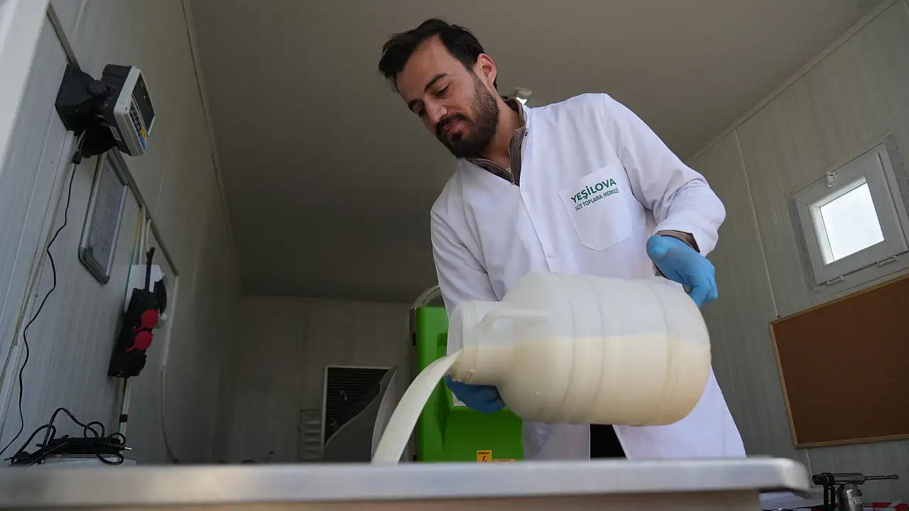 Muş’ta Çiğ Süt Soğuk Zincir Projesi ile Fiyatlar Yükseliyor