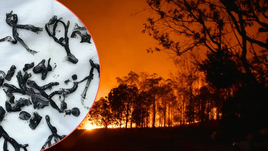 Pekin’de Nefes Darlığı Olayı: 87 Yaşındaki Adam Şaşırttı