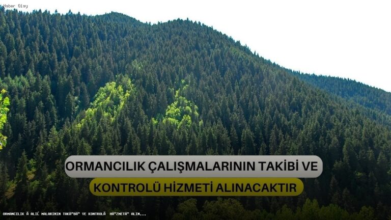 Ormancılık Hizmetleri İhalelerine Dair Detaylar Nelerdir?