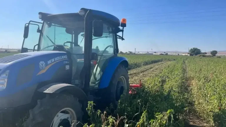 2026 Arsa Fiyatlarında Anadolu İlleri Nasıl Öne Çıkıyor?