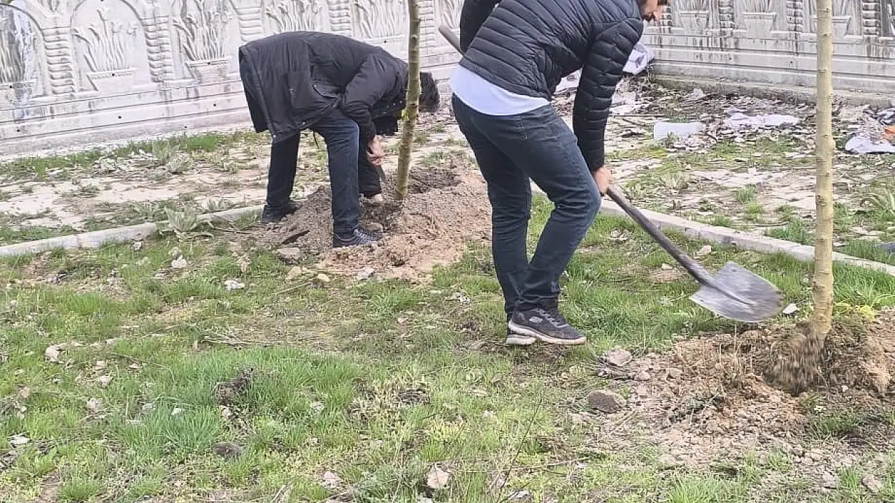 Patnos’ta Ağaçlandırma Faaliyetleri ile Geleceğe Nefes