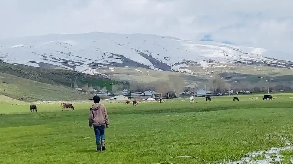 Ağrı Patnos’ta Bahar ve Kış Aynı Anda Yaşanıyor