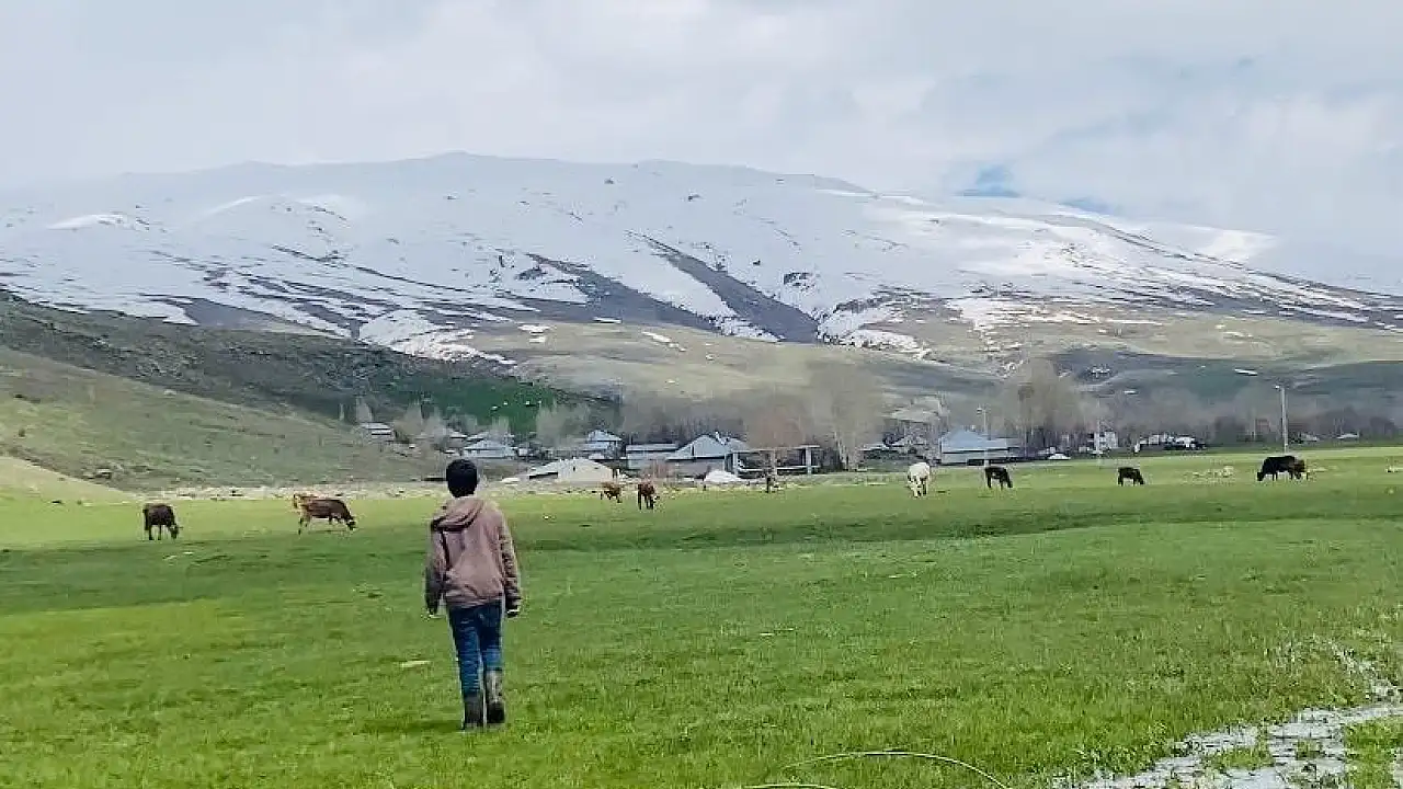 Ağrı Patnos’ta Bahar ve Kış Aynı Anda Yaşanıyor