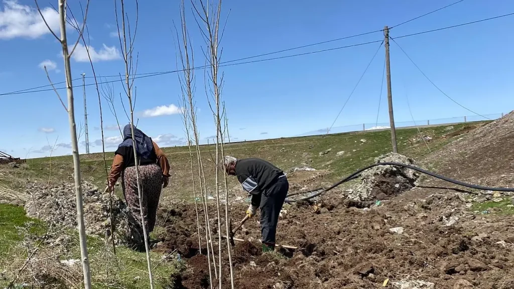 Patnos’ta Fidan Dikimi ile Doğaya Duyulan Özlem