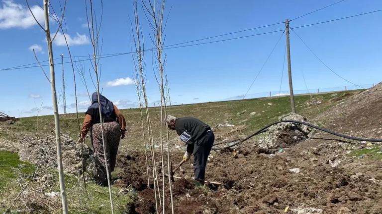 Patnos’ta Fidan Dikimi ile Doğaya Duyulan Özlem