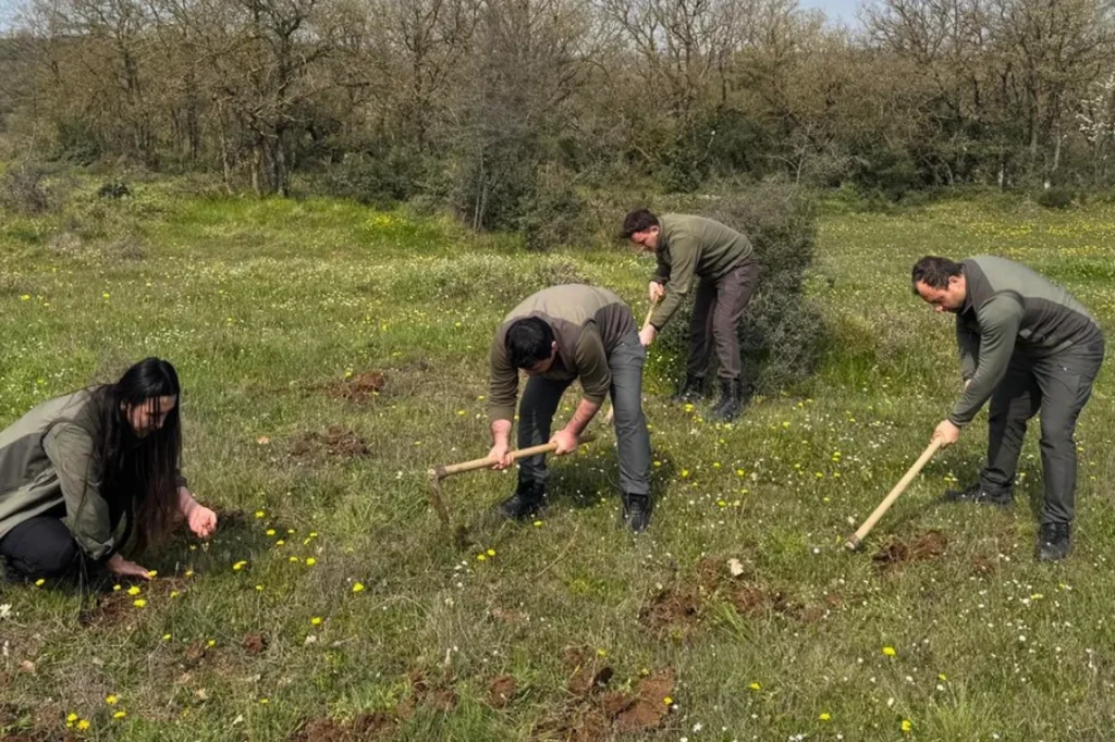 İzinsiz Salep Orkidesi Toplayan Kişiye 700 Bin Lira Ceza