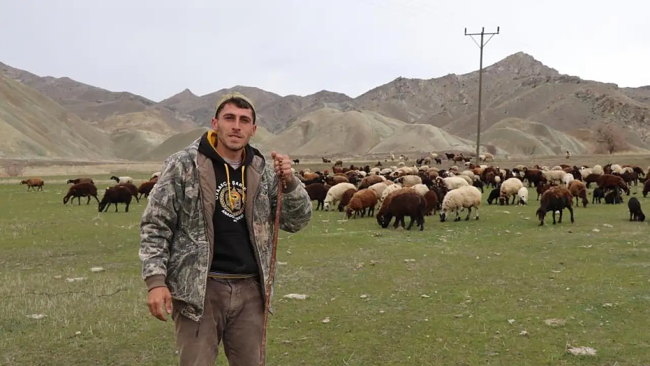 Drone ile Sürü Yönetimi: İsmail Akkaş’ın Yenilikçi Yöntemi