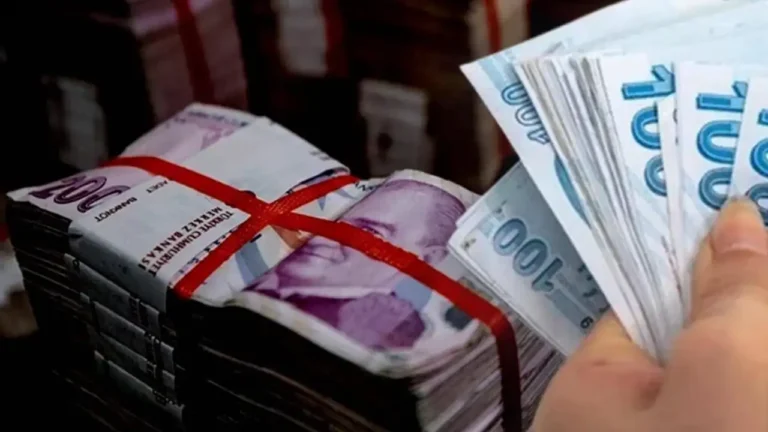 SED Ödemeleri Nisan 2026: Beklenen Tarih ve Sorgulama Bilgileri